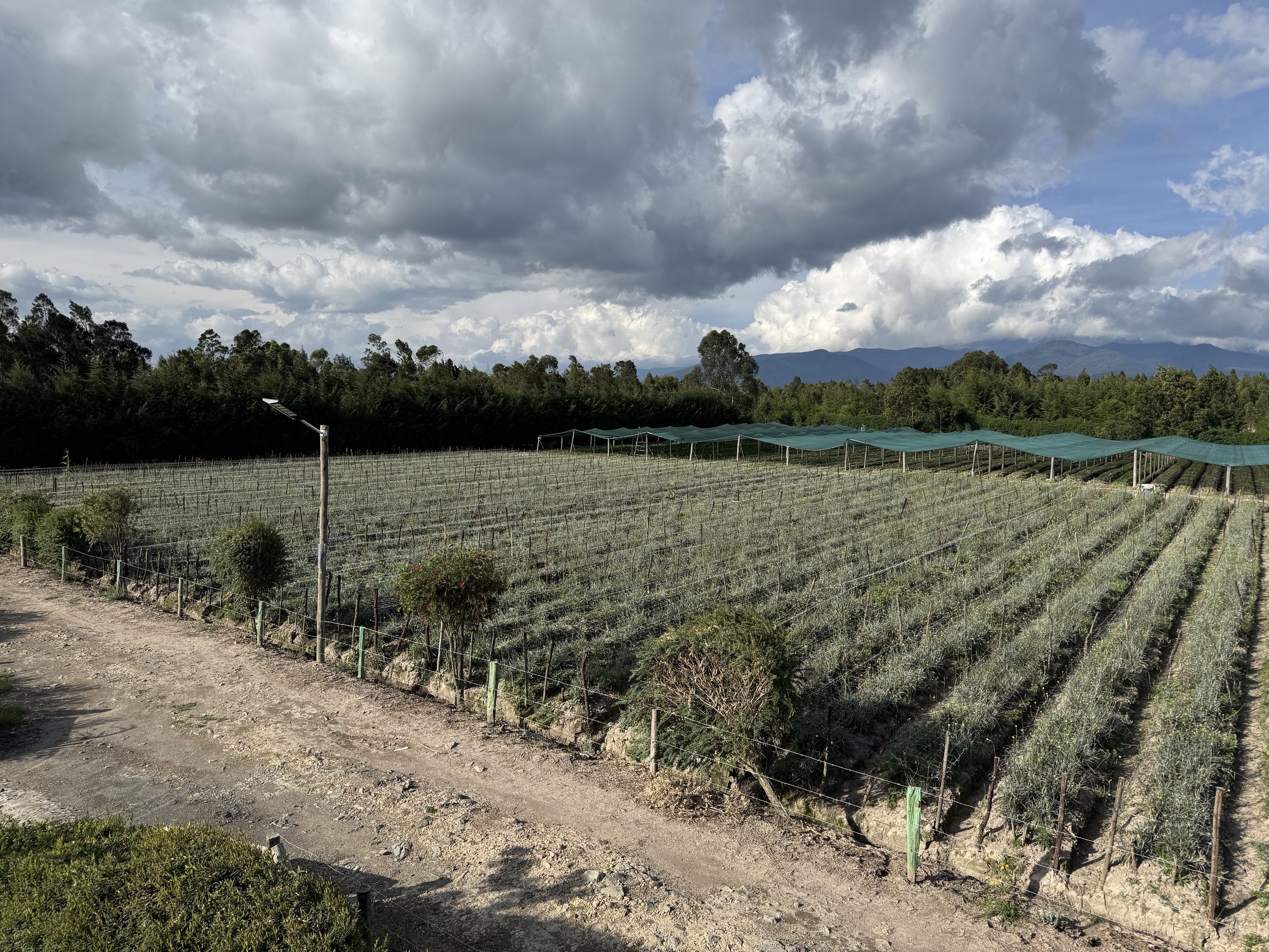 KR Farm